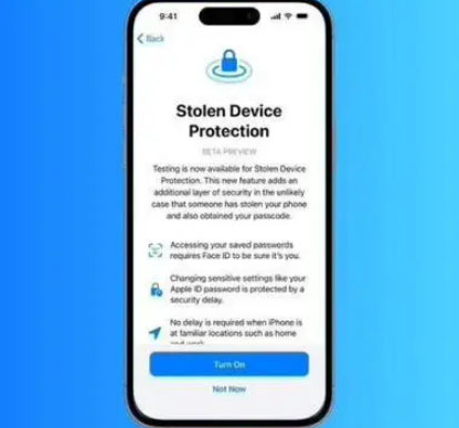 岫岩苹果授权维修店分享被盗设备保护功能开启方法 