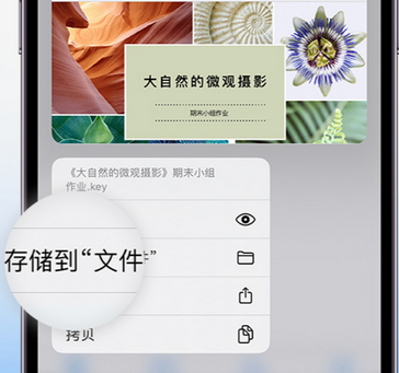 岫岩apple维修中心分享iPhone文件应用中存储和找到下载文件