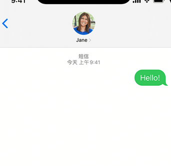 岫岩apple维修iPhone上无法正常发送iMessage信息