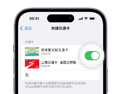 岫岩apple维修点分享iPhone上更换Apple Pay快捷交通卡手绘卡面 