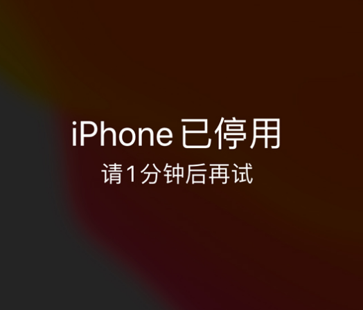 岫岩苹果手机维修分享:iPhone 显示“不可用”或“已停用”怎么办？还能保留数据吗？ 