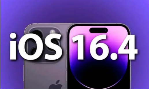 岫岩苹果14维修分享：iPhone14可以升级iOS16.4beta2吗？ 