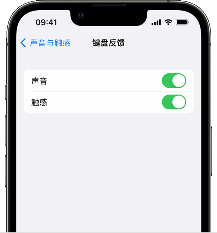 岫岩苹果14维修店分享如何在 iPhone 14 机型中使用触感键盘 