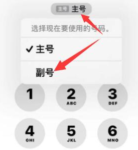 岫岩苹果14维修店分享iPhone 14 Pro Max使用副卡打电话的方法 