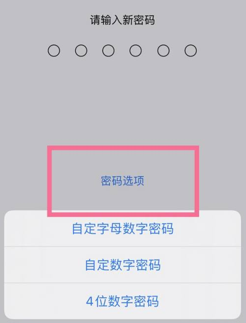 岫岩苹果14维修分享iPhone 14plus设置密码的方法 