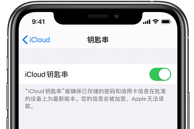 岫岩苹果手机维修分享在 iPhone 上开启 iCloud 钥匙串之后会储存哪些信息 