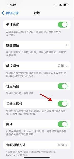 岫岩苹果手机维修分享iPhone手机如何设置摇一摇删除文字 